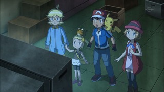 xy (54)