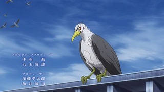 cap (13)