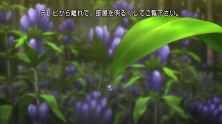 cap (1)