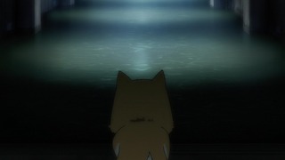 cap (216)