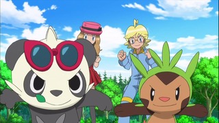 xy49 (154)