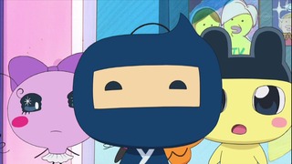 tama (8)