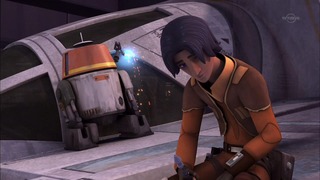 sw (8)