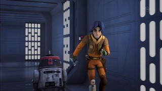 sw (49)