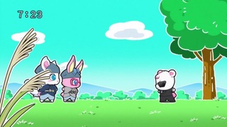 cap (213)