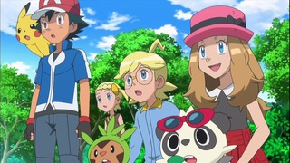 xy49 (18)