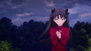fate-110