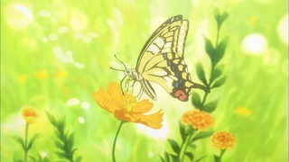 cap (41)
