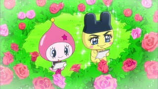 tama (6)