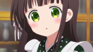 usa-246