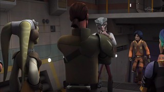 sw (61)