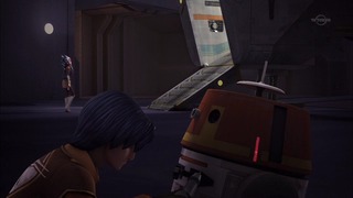 sw (11)