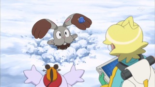 xy (109)