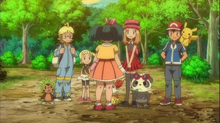 xy49 (174)