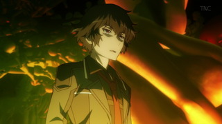 cap (29)