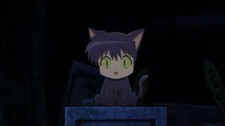 rin-309