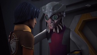 sw (41)