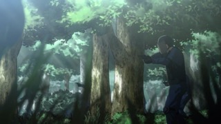 cap (110)