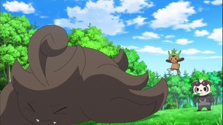 xy49 (141)