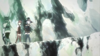 cap (205)