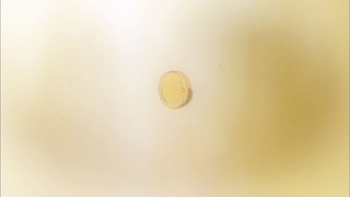 1395243967119