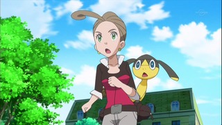 xy66 (35)