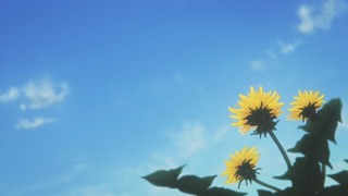 cap (383)