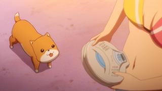 cap (146)