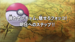 xy49 (21)