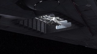 sw (19)