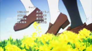 zimage00000-050