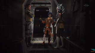 sw (14)