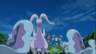 xy (107)