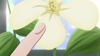 cap (38)