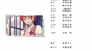 cap (255)