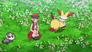 xy (29)