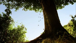 Screenshot20140329225703