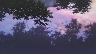 cap (119)