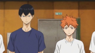 cap (223)