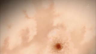cap (134)
