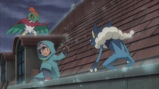 xy (44)