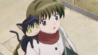 rin-96