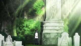 cap (13)