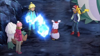 xy (86)