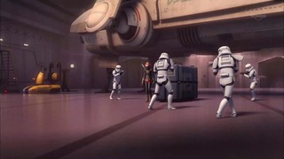 sw (21)