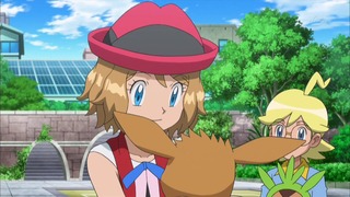 xy (50)