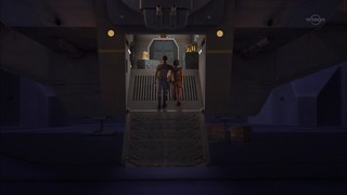 sw (66)