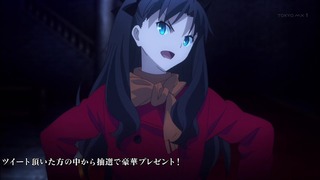 fate14 (78)
