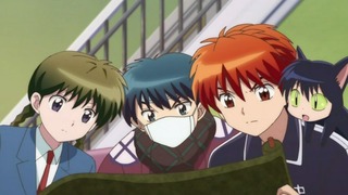 rin-43