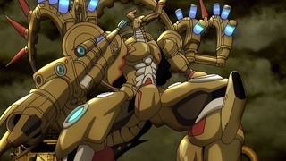 cap (19)